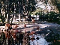 photos 2000-200900074